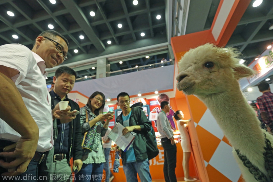 杭州：神兽“草泥马”电商博览会上抢风头