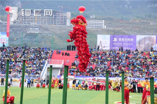 首届“贵州·思南全国舞龙邀请赛”隆重举行