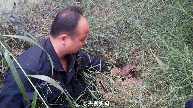 广东越狱逃犯藏身地曝光：距监狱500米远的草丛坑洞中