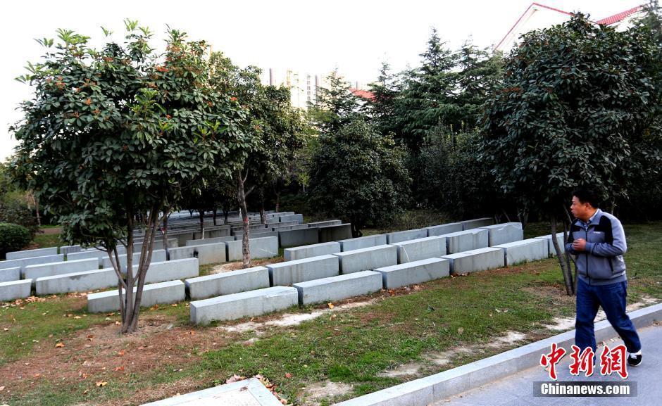 郑州绿化带景观石被指像“无名墓地”