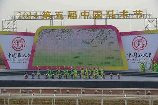 百马竞逐 第五届中国马术节在成都温江开幕