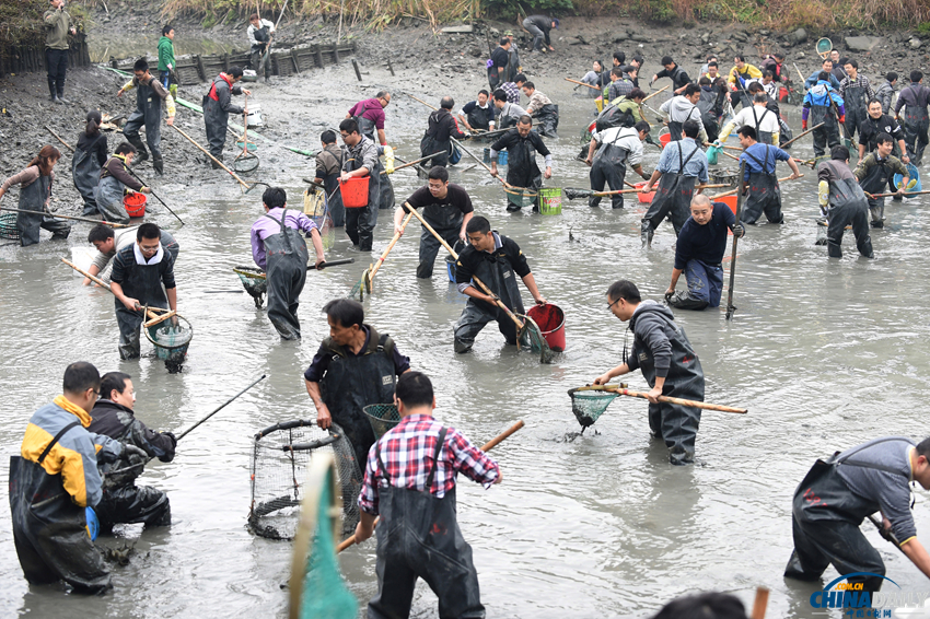 杭州西溪举办干塘节