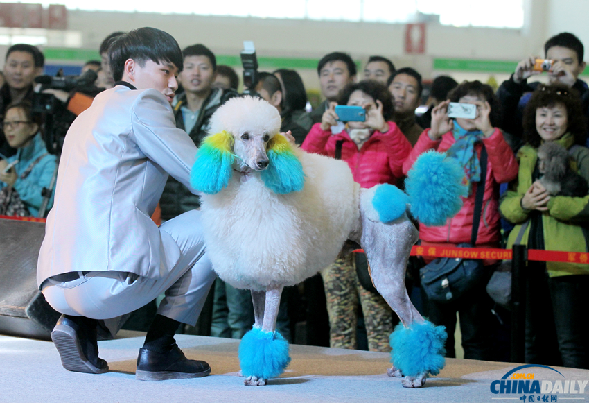 2014中国国际宠物水族用品展览会在京开幕