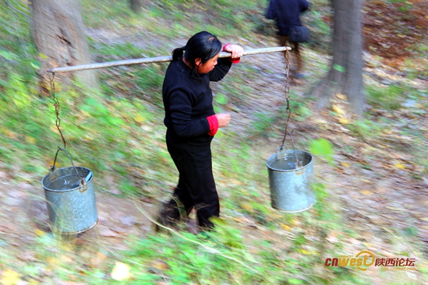 陕西“最美乡村”400多村民靠浑水度日