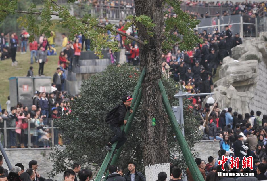 重庆上万粉丝疯狂追星 致节目临时取消录制