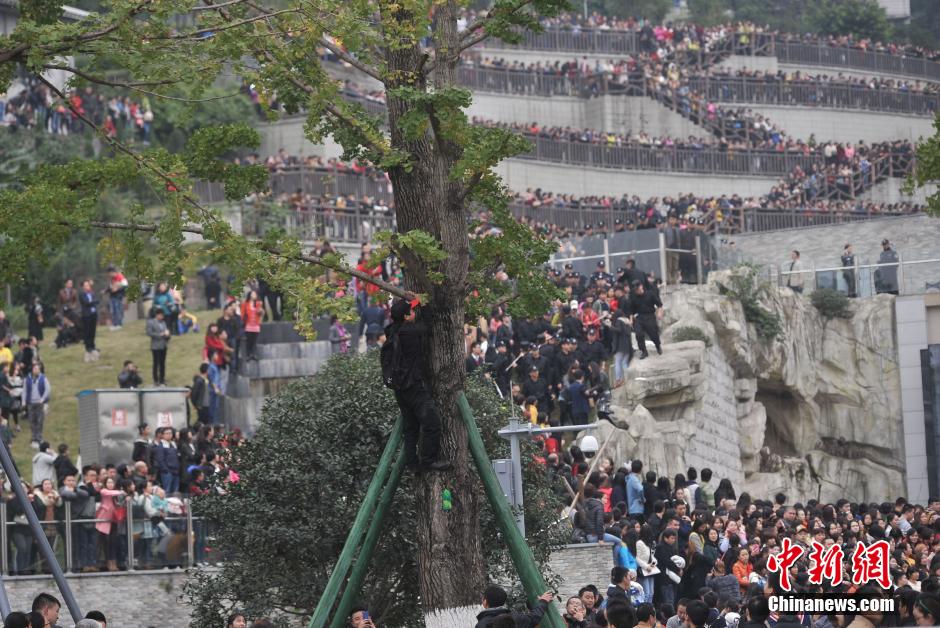 重庆上万粉丝疯狂追星 致节目临时取消录制