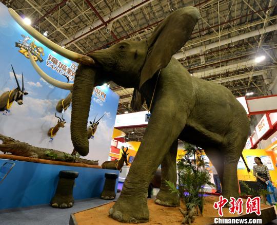 重达3吨 世界上个体最大的陆生动物标本非洲“象王”亮相厦门