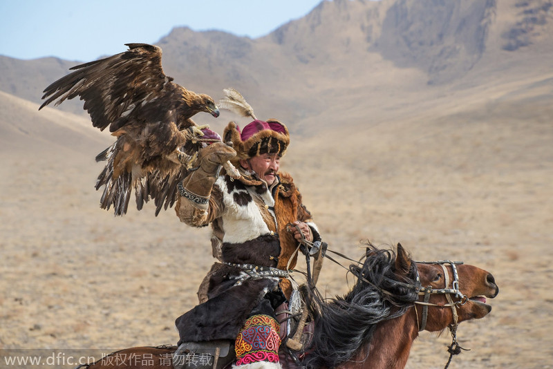 蒙古金鹰节：一场猎手与鹰的荣耀盛会