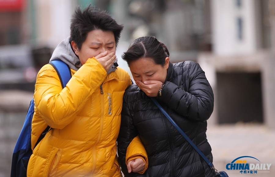 北京发布大风蓝色预警信号 阵风可达8-9级[1]