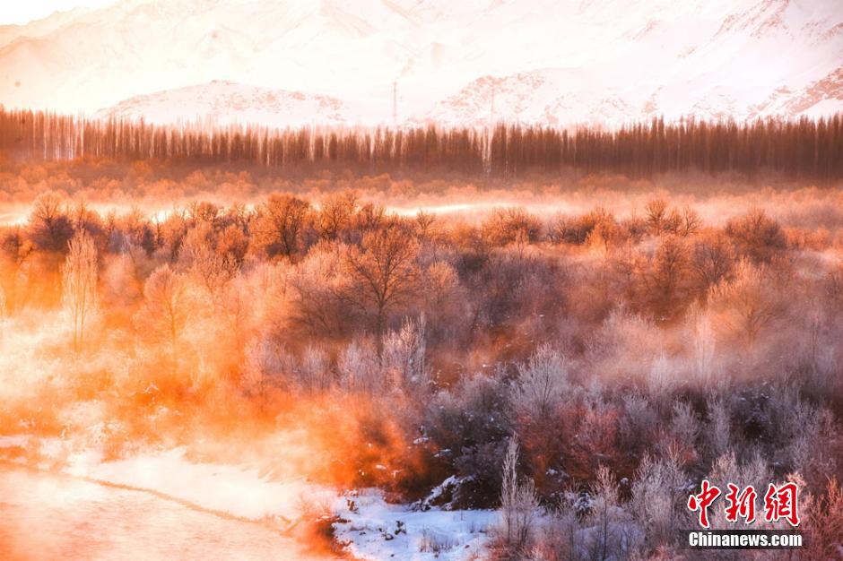 新疆尼勒克万顷次生林被雾气笼罩 恍如仙境