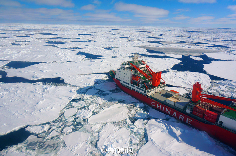 雪龙号科考船在南极卸货引企鹅围观