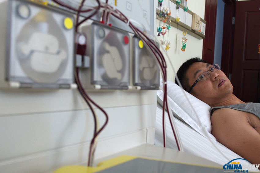 黑龙江小伙为韩国男孩捐献造血干细胞