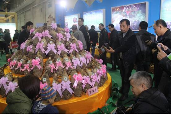 第7届广西特优农产品交易会在桂林举行
