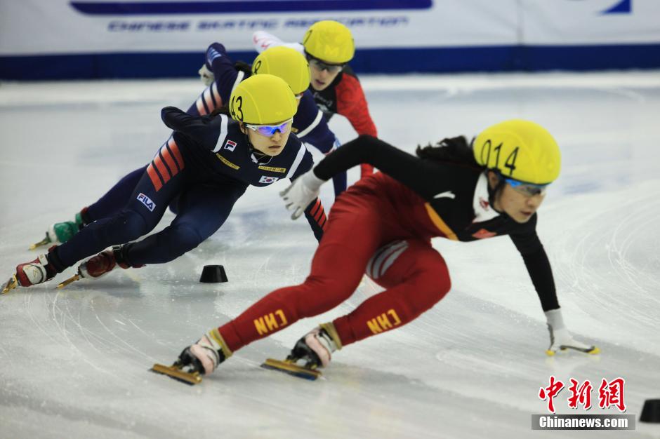 短道速滑上海站落幕 中国女队夺3金男队疲软