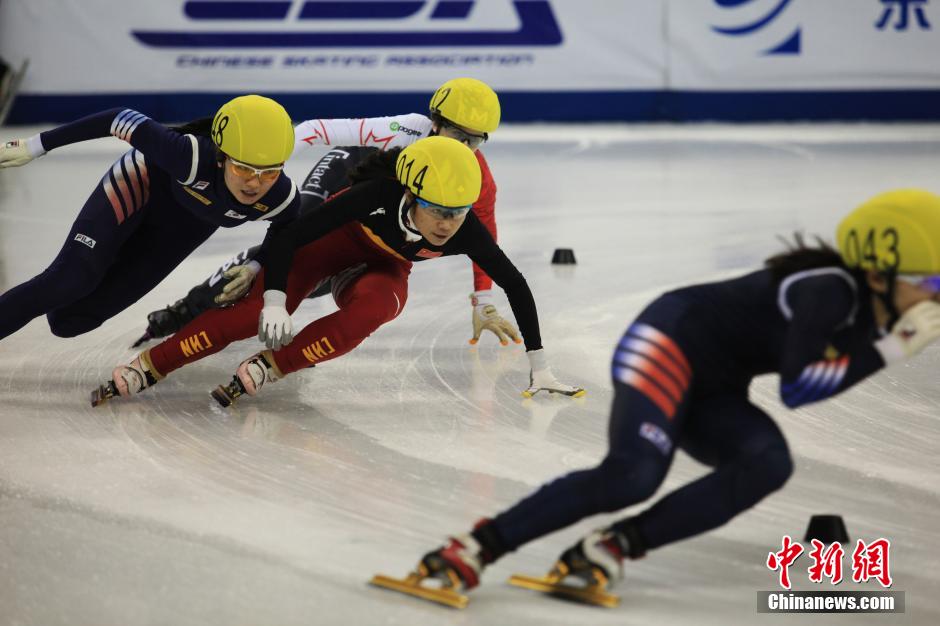 短道速滑上海站落幕 中国女队夺3金男队疲软