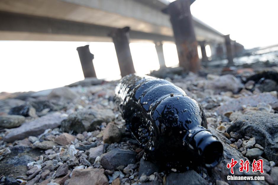 青岛胶州湾部分海滩遭泄漏原油污染
