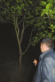 四川13岁男孩寻鸡疑遭邻居骂小偷 回家自缢身亡