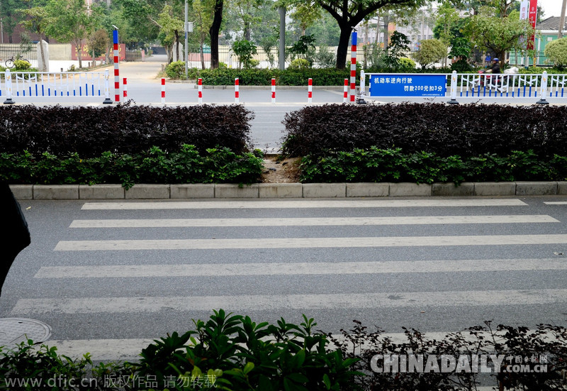 广西北海：“奇葩斑马线”堪比马术赛场 行人跨5道障碍