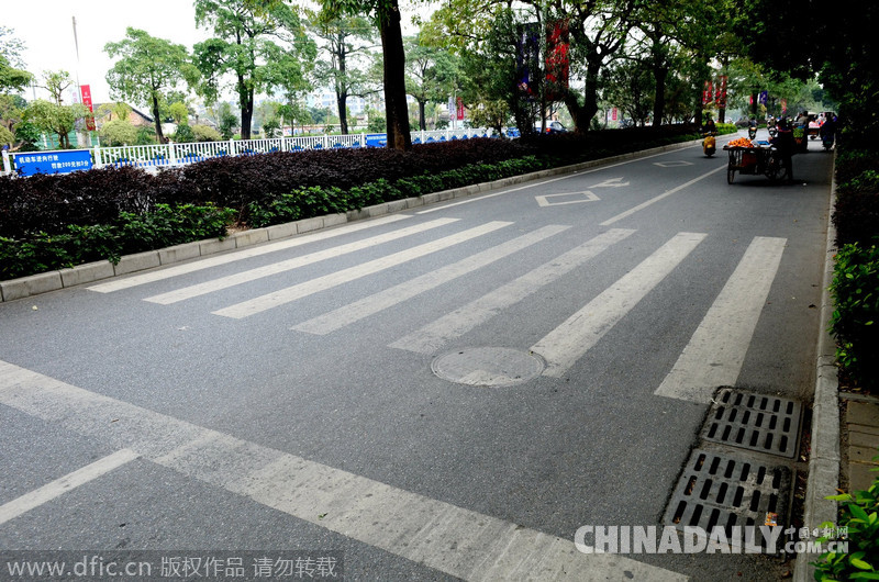 广西北海：“奇葩斑马线”堪比马术赛场 行人跨5道障碍