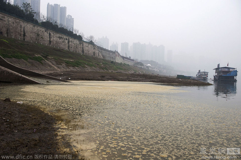 重庆化粪池污水直接排入长江饮用水源