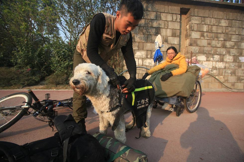 广西小伙用狗拉车携患病女友游中国