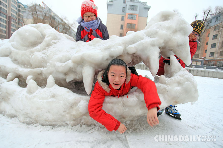 吉林一退休教师制作巨大鳄鱼雪雕造型逼真