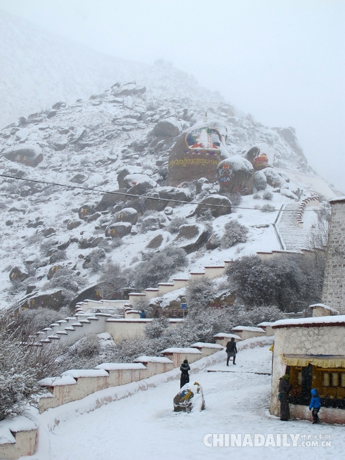 西藏拉萨迎来2015年第一场雪