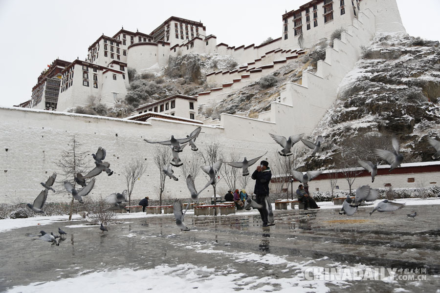 拉萨迎来新年首场降雪