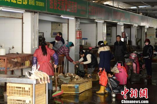 H7N9禽流感疫情再发 江苏苏州将暂停活禽交易