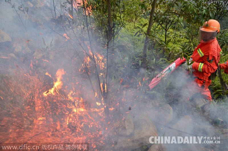 温岭多处山林大火蔓延 数百消防员上山全力扑火