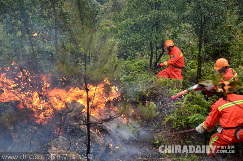 温岭多处山林大火蔓延 数百消防员上山全力扑火