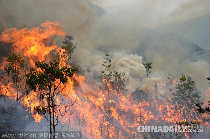 温岭多处山林大火蔓延 数百消防员上山全力扑火