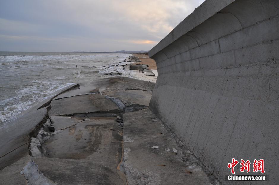 日照一防潮堤垮塌 数百米竟无一根钢筋