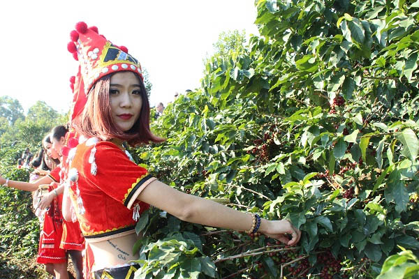 第四届中国芒市（国际）咖啡文化节隆重举办