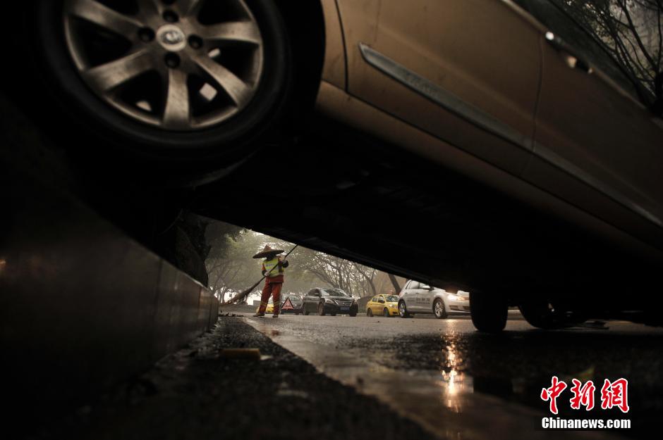 重庆驾驶员“飞车”倒挂绿化带动弹不得