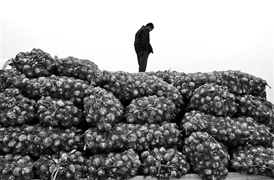 中国出口韩国2200吨大蒜遭退回(组图)