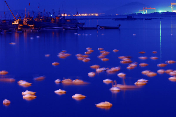 “刘公岛杯 蓝色威海”摄影大赛在威海举行