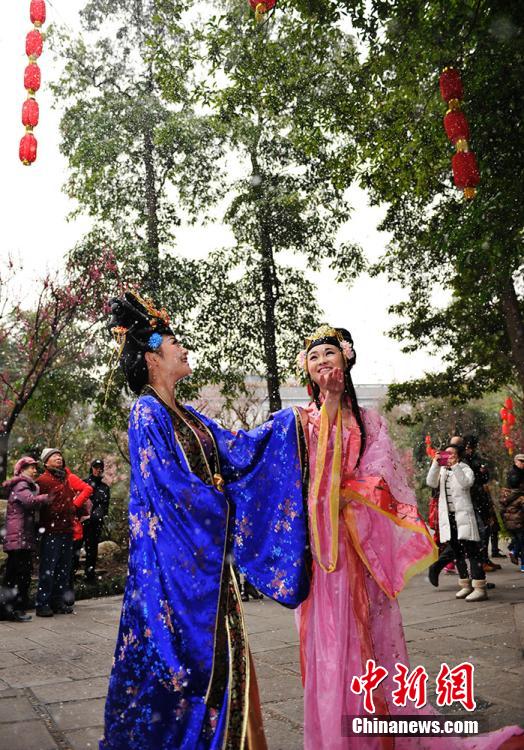 成都杜甫草堂梅花绽放 民众着古装赏梅花