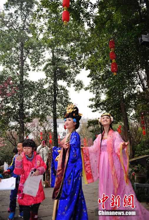 成都杜甫草堂梅花绽放 民众着古装赏梅花