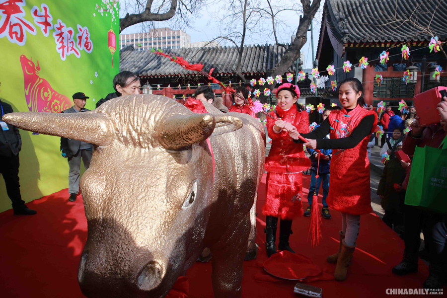 北京立春“打春牛”
