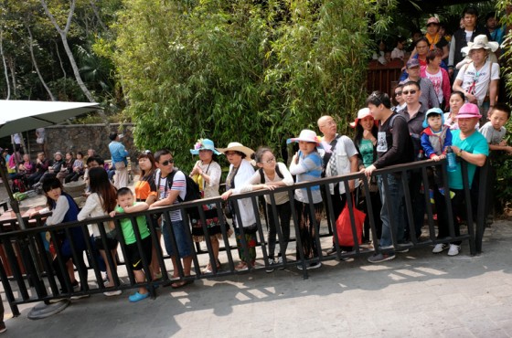 三亚旅游行业积极备战迎接2015春节黄金周80万游客