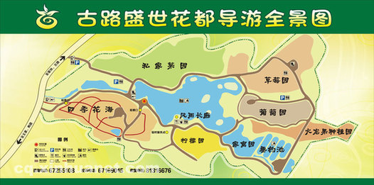 重庆盛世花都春节开园 20分钟便可赏花海摘果蔬 组图