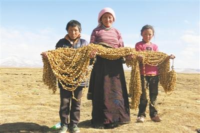 知名女记者远嫁藏区开网店 助当地农牧民卖特产