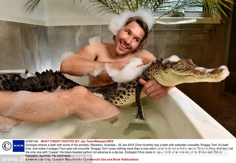 澳大利亚男子开私人动物园 与鳄鱼共浴