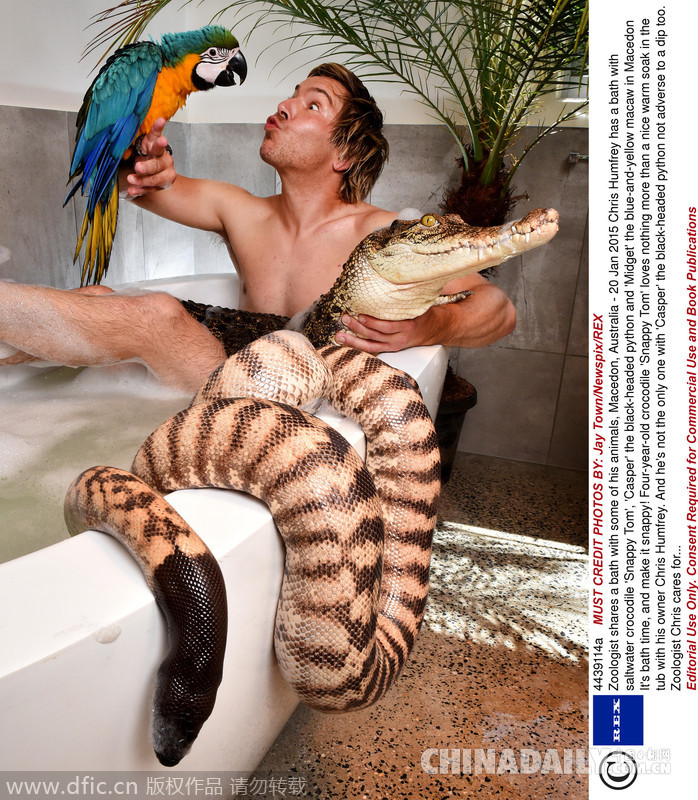 澳大利亚男子开私人动物园 与鳄鱼共浴