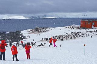 中国客涌入南极:拍婚纱照吓跑企鹅 什么都摸一摸