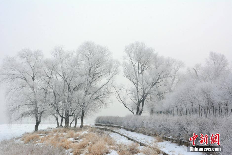 吉林松花江畔出现罕见三月春季雾凇景观