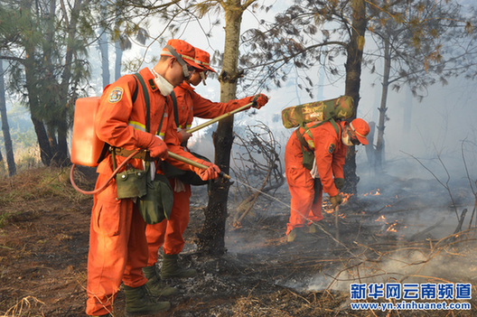云南呈贡发生森林火情 950多人全力扑救