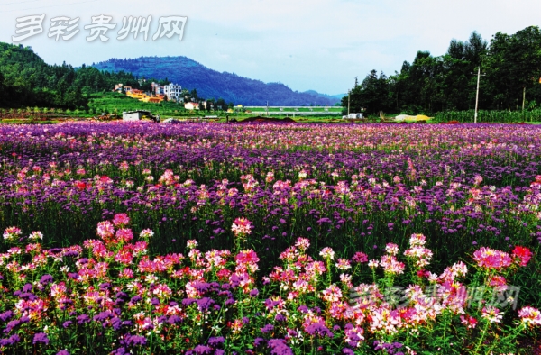 贵州省100个旅游景区乘势发力