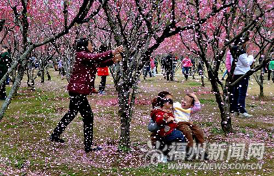 市民拍照为取景拼命摇“桃花雨” 称“花总要落”